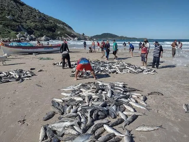 Мини-отель Pousada Mocamba Dunas Beach Флорианополис